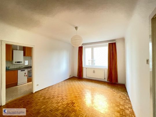 Natürlich beschattete 2 Zimmer mit Balkon und separater Küche - Photo 1