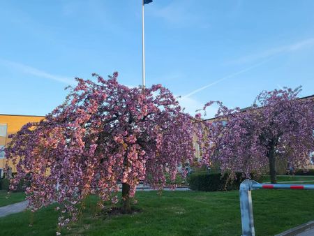 Rösgången, Norrköping - Photo 3