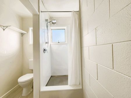 Newly renovated 1-Bedroom - Photo 2