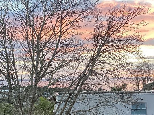 Stunning 4 bedroom flat in the Castor Bay - Photo 1