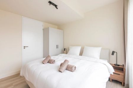 Appartement meublé de 2 chambres Mathenesserlaan, Rotterdam - Court séjour - Photo 5