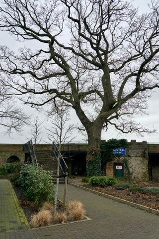 Te huur: Appartement Kerkplein in Harderwijk - Foto 3