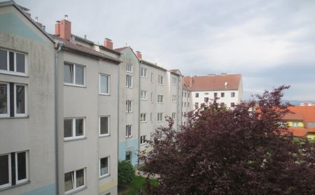 2,5-Zimmer-Wohnung in Wiener Neustadt - Photo 5