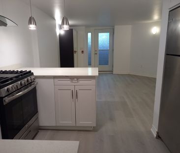 For Lease - 129 Walmer Road Unit# Lower, Toronto, Ontario - Photo 5