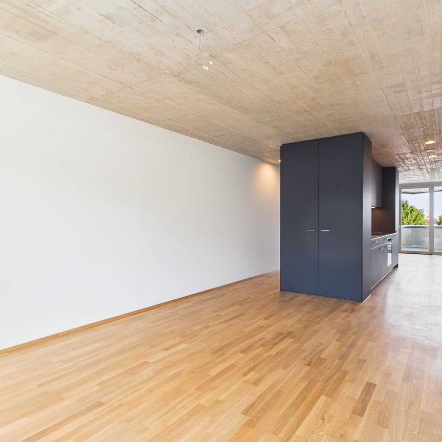First occupancy in a modern new building - high-quality living in the middle of Basel - Photo 1