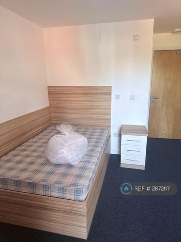 9 bedroom flat to rent - Photo 4