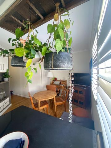 Paddington - Photo 2