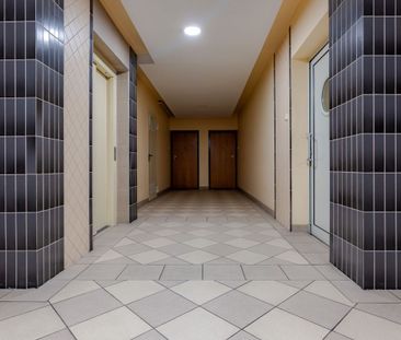 Las Bródnowski|Metro Kondratowicza|Zielone Zacisze - Zdjęcie 6