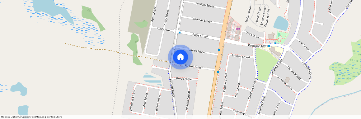 21 Russell Street, Gillieston Heights, NSW 2321