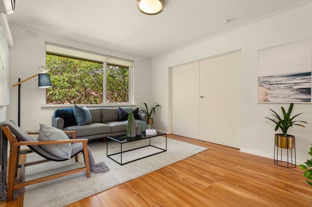 10/23 Park Street, St Kilda West - Photo 1