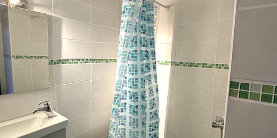 Location Appartement 1 pièce 18m² - Photo 3