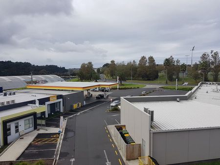 Albany Apartment D11 .210 Dairy near Mega Centre - Photo 2