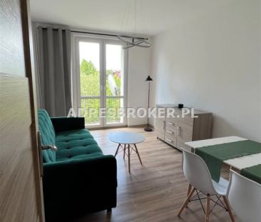 Mieszkanie, wynajem Gliwice, Trynek - Photo 1