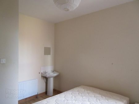 Great 4 Bedroom Apartment, 61c Fitzwilliam Street, BT71HX, Belfast - Photo 2