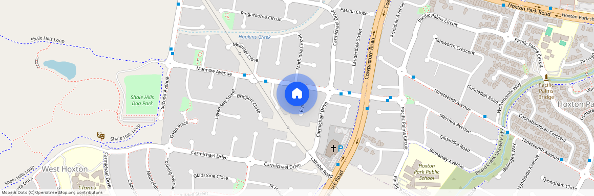 3 Elvira Pl, NSW 2171, West Hoxton