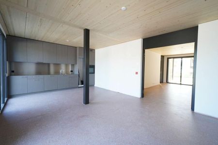 «Atelier-Wohnung im suburbanen Schweighofquartier» - Foto 3