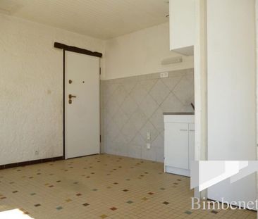 Appartement à louer, 1 pièce - Fleury-les-Aubrais 45400 - Photo 1