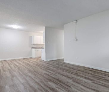Renovated Suite - 2 Bedroom - Photo 5