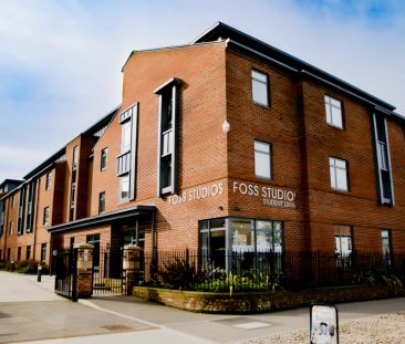 Classic Studio - Photo 6