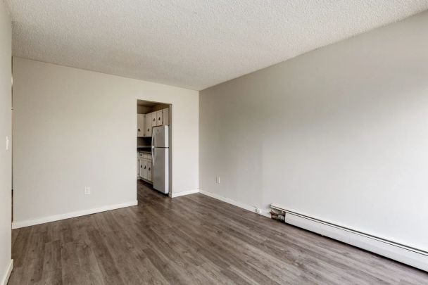 1 Bedroom - Photo 1
