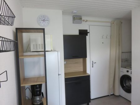 Location / Appartement T1 bis - Photo 4