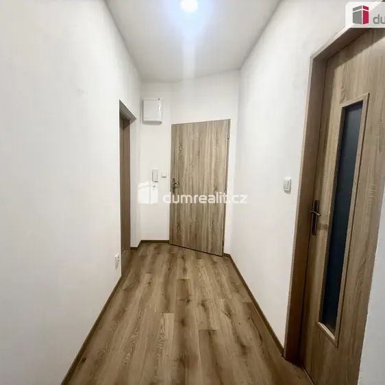 Nový byt 1+1 v top lokalitě Ústí nad Labem – Všebořice - Photo 1