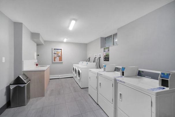 Shelmarjay — Downtown1 Bedroom - Photo 1
