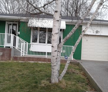 For Lease - 21 Humheller Road Unit# Bsmt, Toronto, Ontario - Photo 2