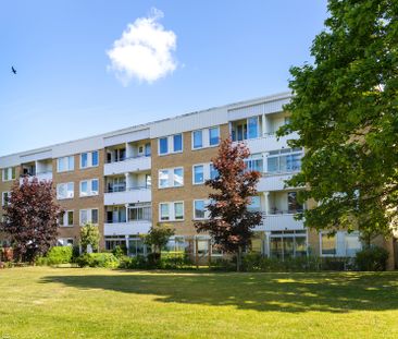 Hallingsgatan 2, Lorensborg - Foto 2