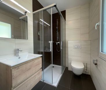 Villa à Louer dans les Hauts de Blonay - Foto 5