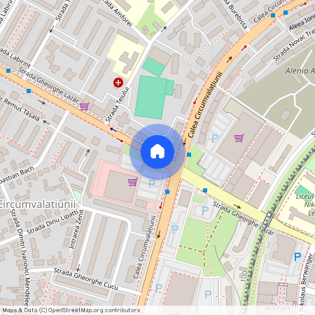 Gheorghe Lazar, Timisoara