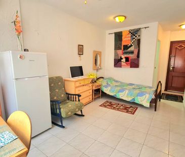 STUDIO FOR RENT IN THE CENTER OF TORREVIEJA - ALICANTE - Photo 3