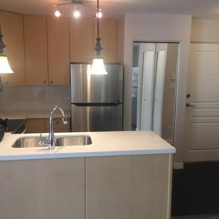 Lovely Renovated 2 Bd 2 Bath - Only Min 3 Month Lease - Photo 4