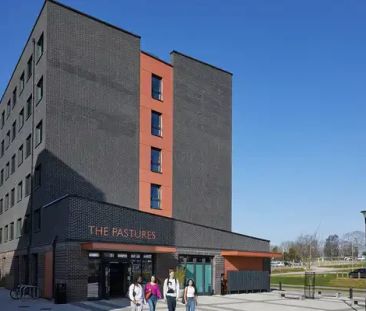 premium single ensuite - Photo 4