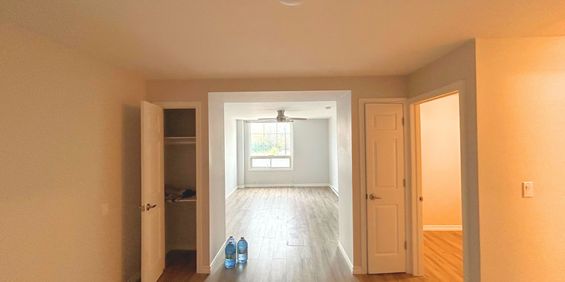 For Lease - 33 King Street Unit# 7, Cramahe, Ontario - Photo 3