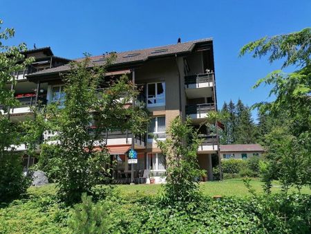 Cozy attic apartment near the train station and the Emme! - Photo 4