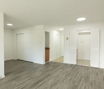 1975 Maisonneuve Blvd West - Photo 6