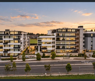 Perfectly Located in the Heart of Edmondson Park !! - Photo 6