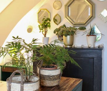 T2 - PROXIMITÉ PLACE DU VIEUX MARCHÉ - Photo 4