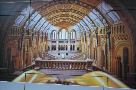 Studio Meublé n°16, Strasbourg Campus Est - Orangerie - Photo 3