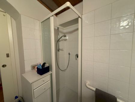 Spacious Private room in Via Pisana - Photo 3