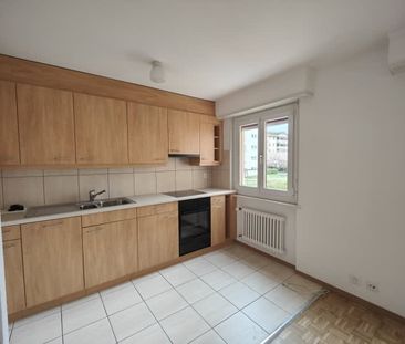 2.5 Zimmer, 46 m², 1. Stock - Foto 2