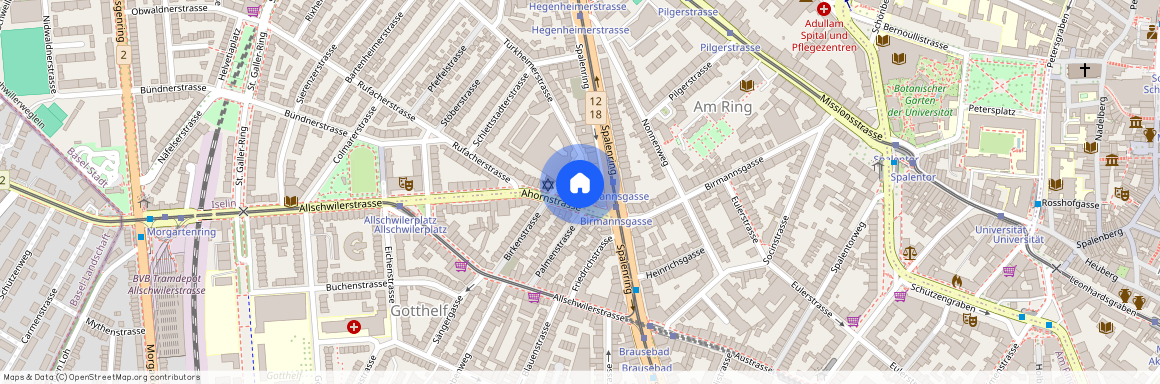 Türkheimerstrasse 5, 4055 Basel