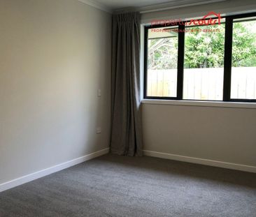 Brand new on Nelson - Photo 6