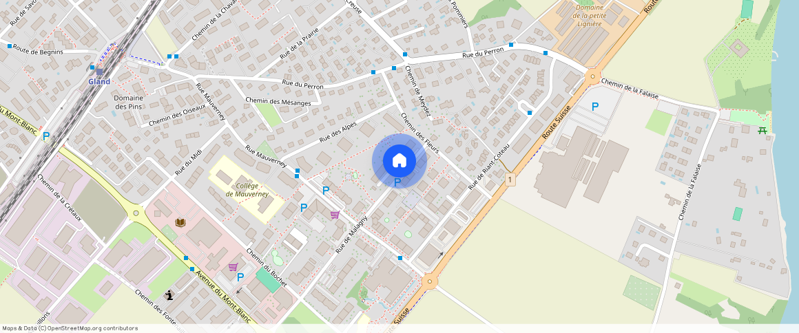 Rue de Malagny ** A, Gland