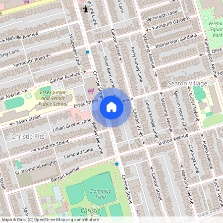 171 Christie Street Unit# BSMT, Toronto