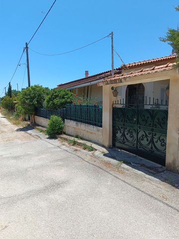 Μονοκατοικία για ενοικίαση Γαλήνη (Αρτέμιδα (Λούτσα)) - Photo 5