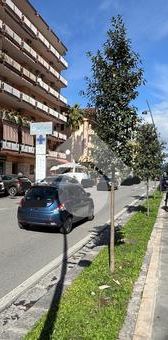 Bilocale in affitto - Photo 1