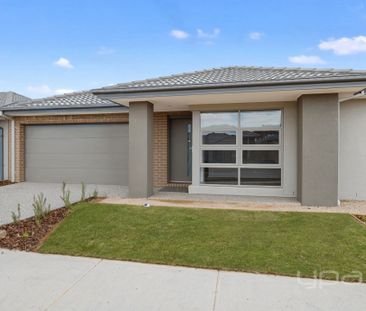 BRAND NEW 4 BEDROOM FAMILY HOME - Photo 5