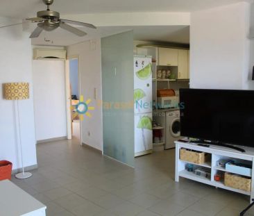 Oliva - Photo 4